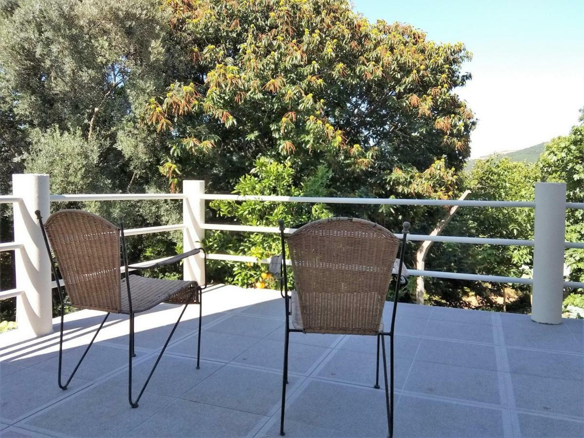 Casas Do Caminho Velho Leilighet Ribeira de Pena Eksteriør bilde