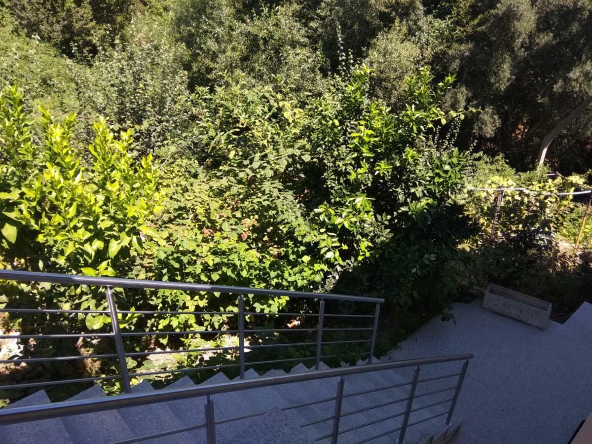 Casas Do Caminho Velho Leilighet Ribeira de Pena Eksteriør bilde
